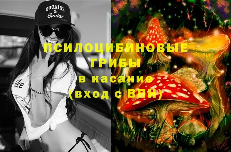 Псилоцибиновые грибы Magic Shrooms  Москва 